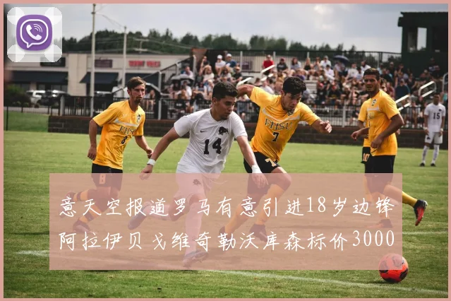 意天空报道罗马有意引进18岁边锋阿拉伊贝戈维奇勒沃库森标价3000万欧元