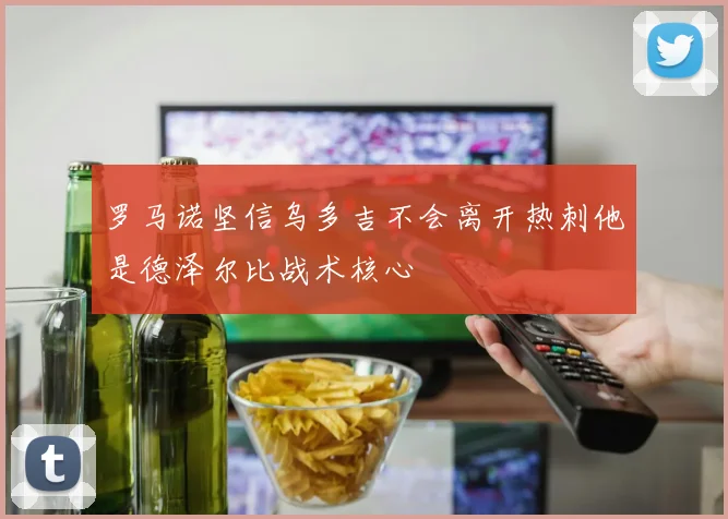 罗马诺坚信乌多吉不会离开热刺他是德泽尔比战术核心