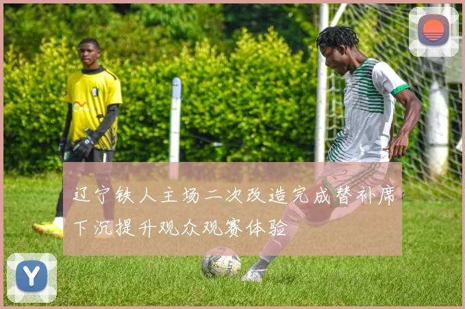 辽宁铁人主场二次改造完成替补席下沉提升观众观赛体验